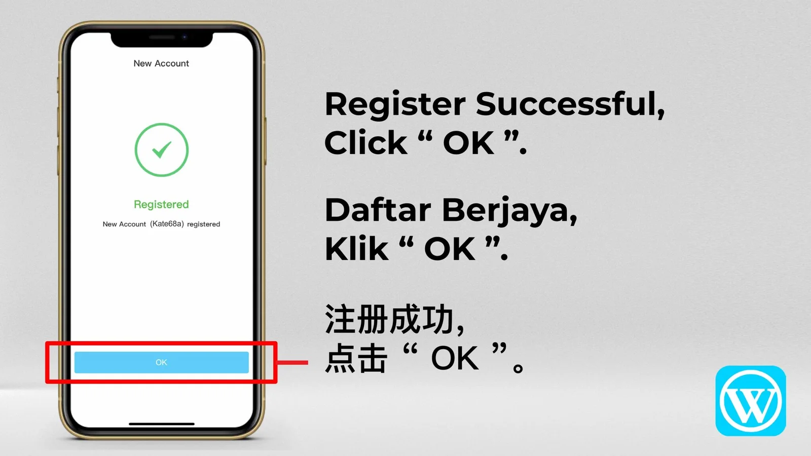 WINBOX registration step 10: Registration successful